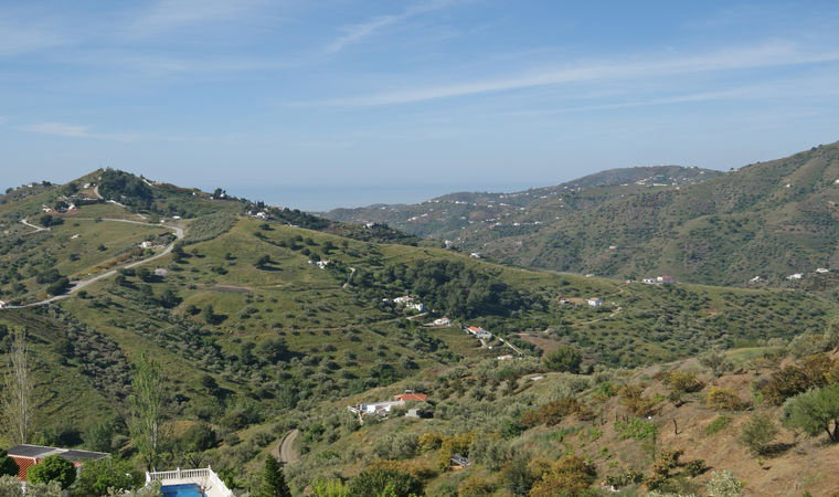 - image: 21