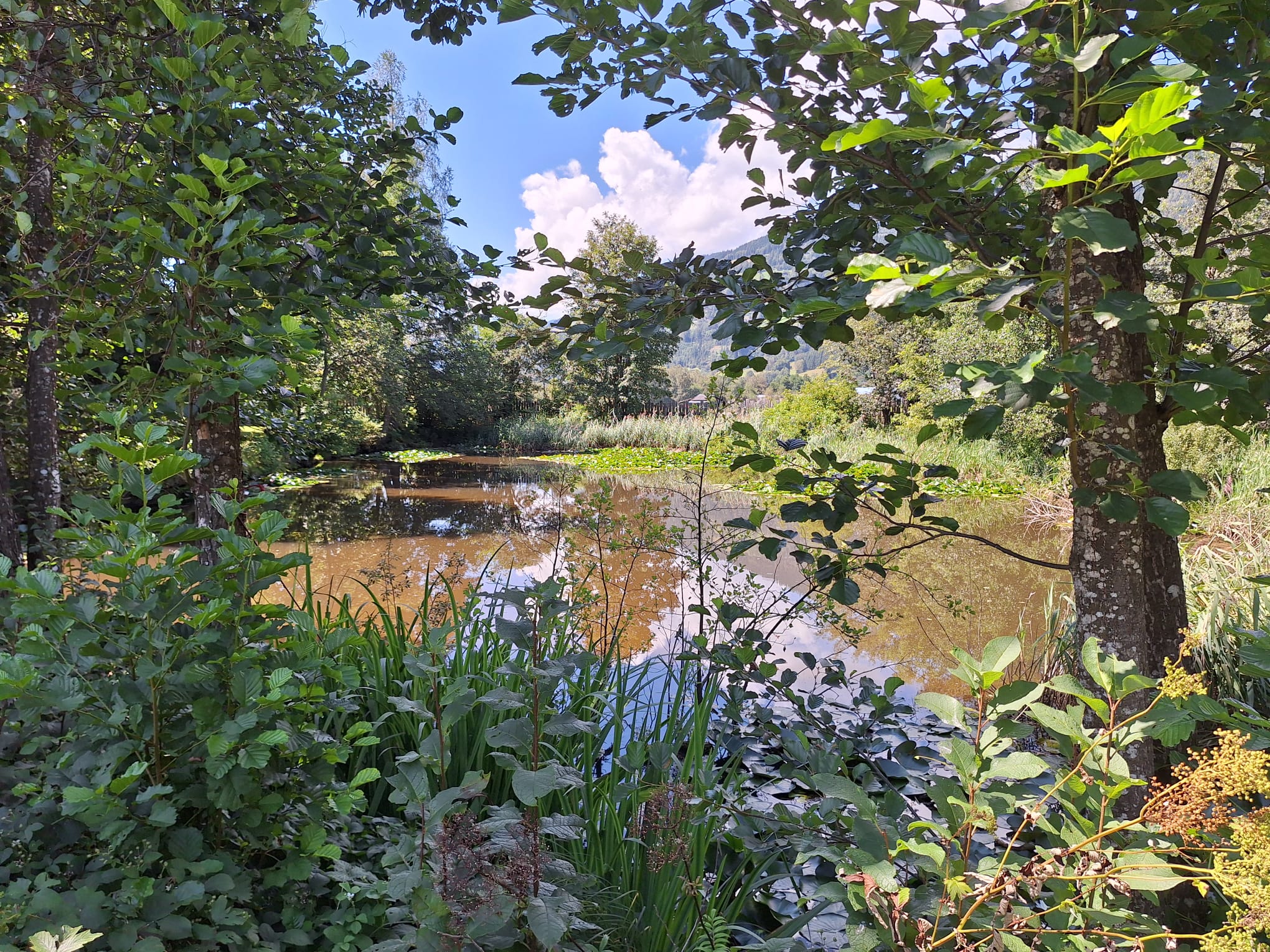Naturhäuschen in Zell am See