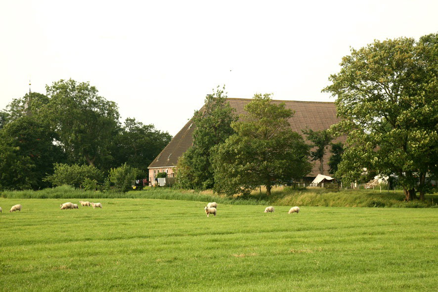 Naturhäuschen in Boer