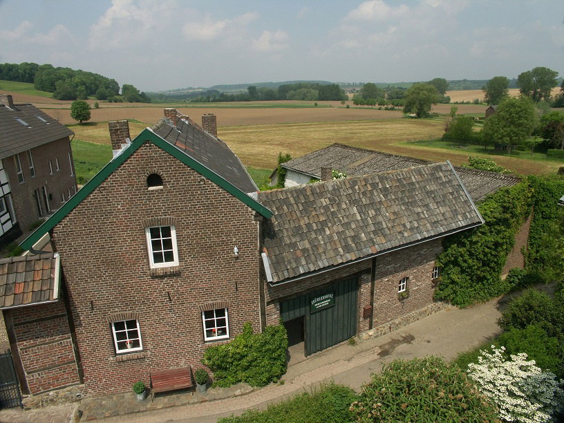 - image: 16