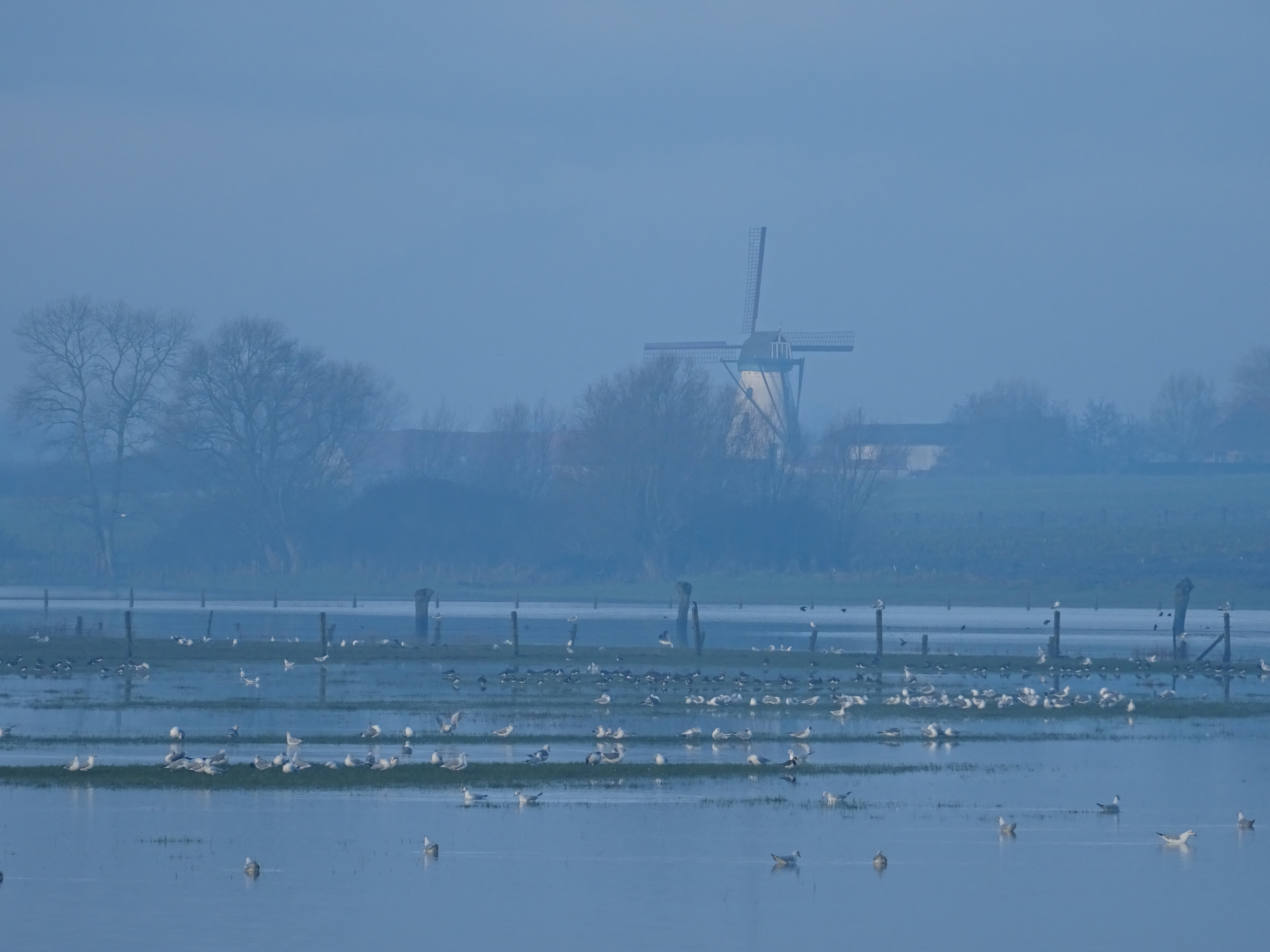 Nature house in Beveren-aan-den-IJzer
