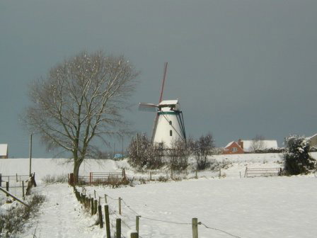 - image: 22