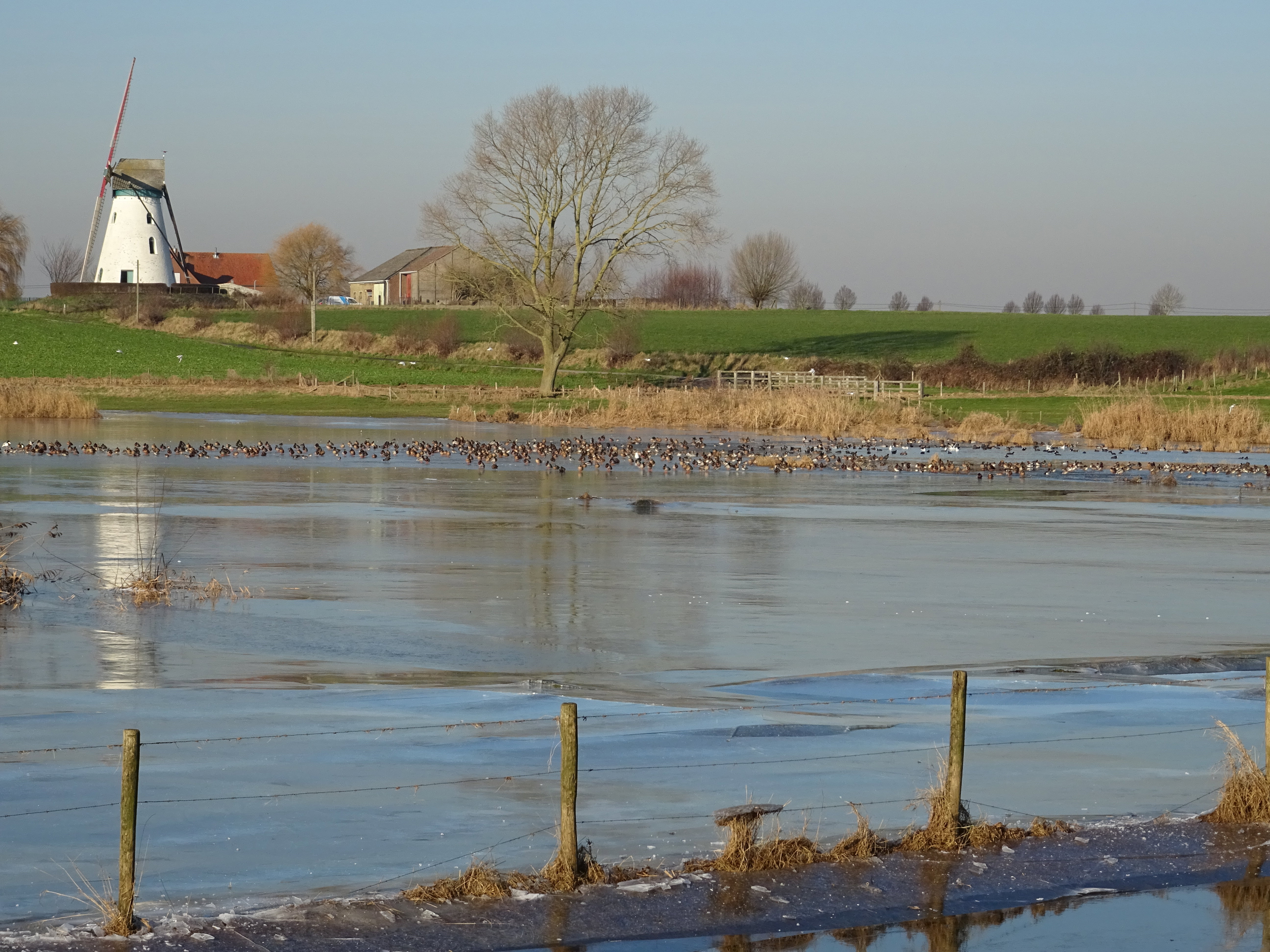 Nature house in Beveren-aan-den-IJzer