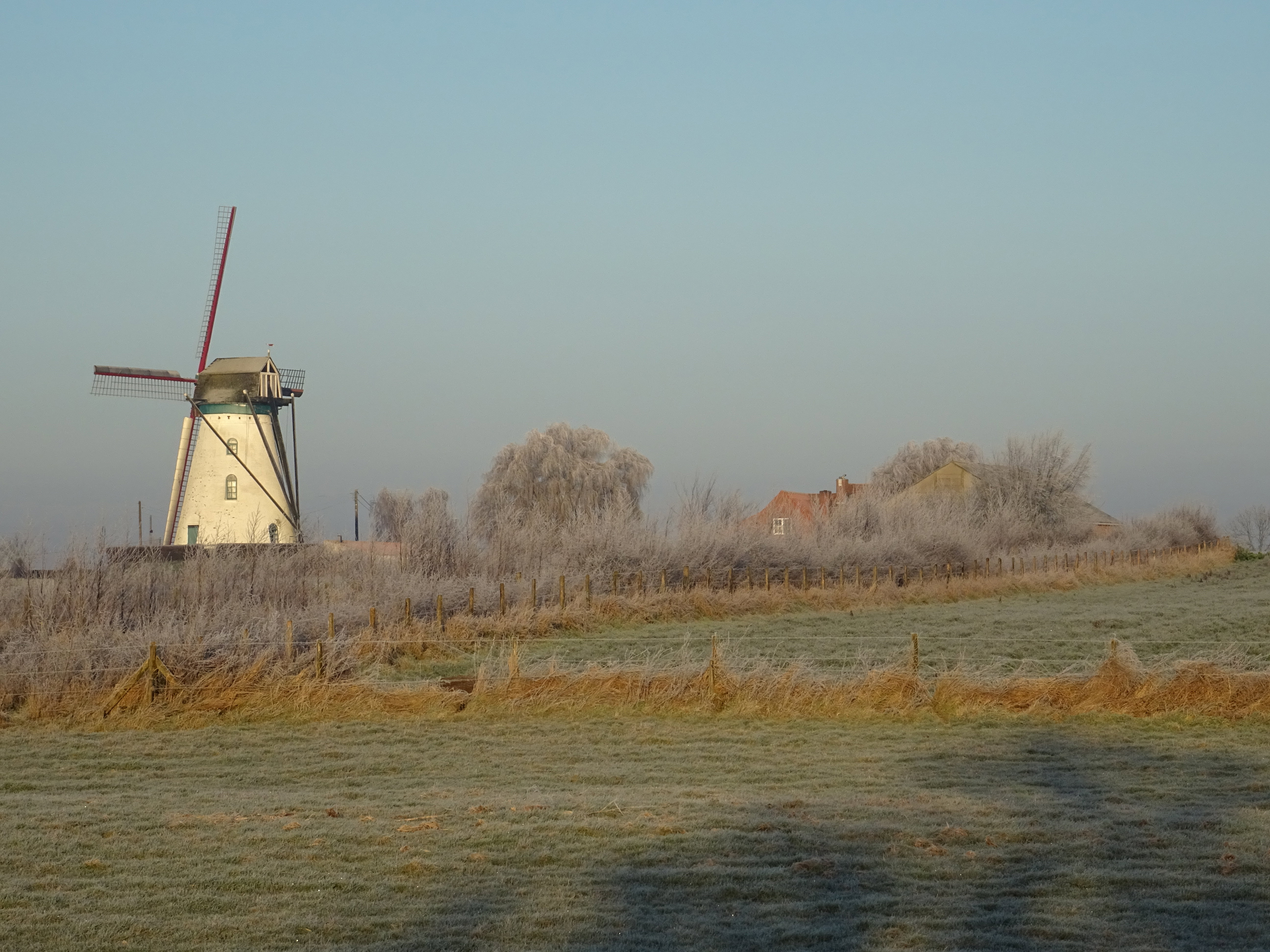 - image: 12