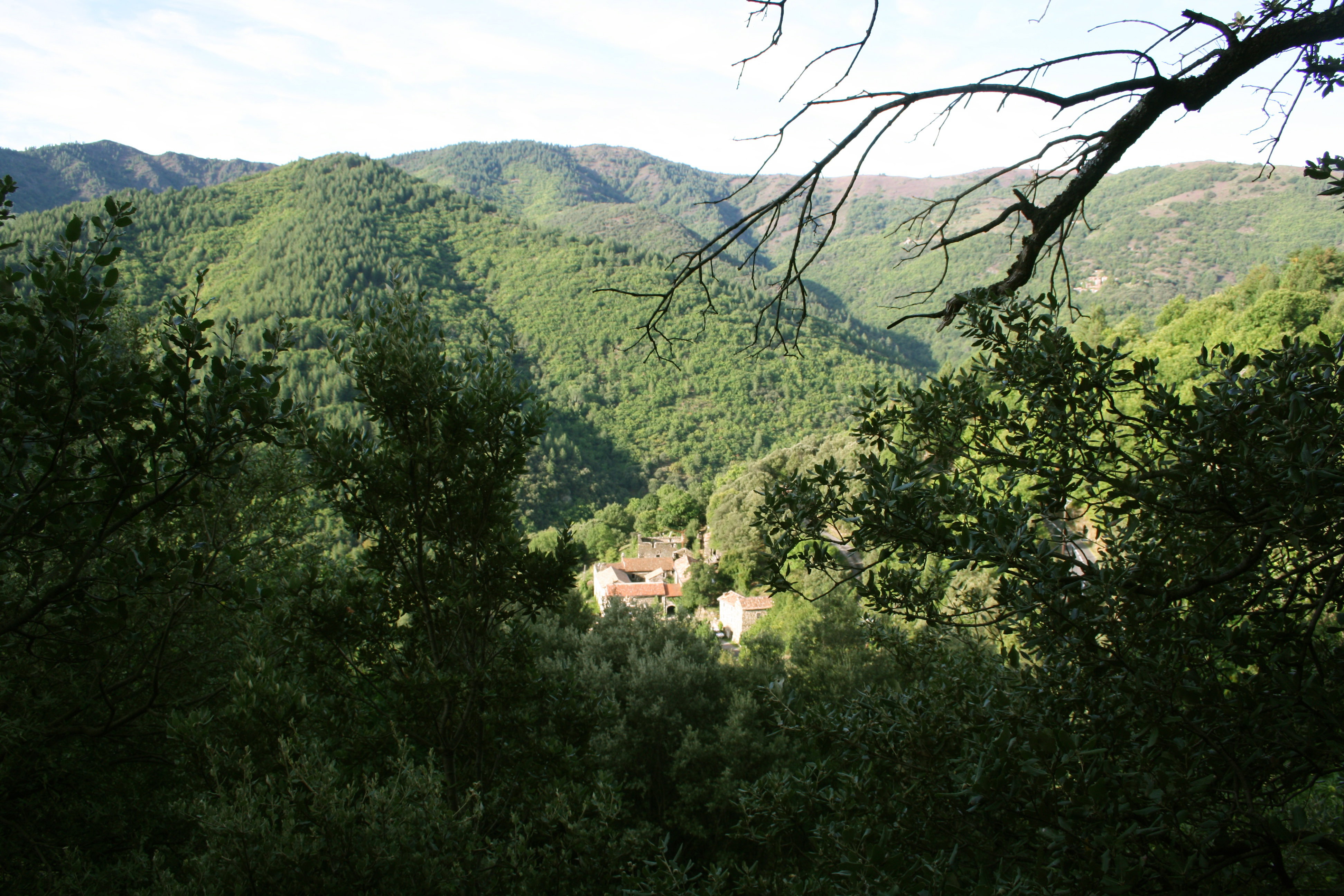 - image: 13