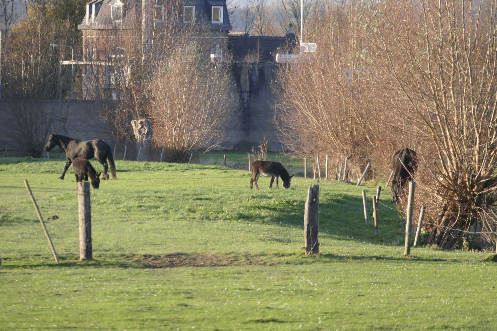 Naturhäuschen in Mesch-Eisden
