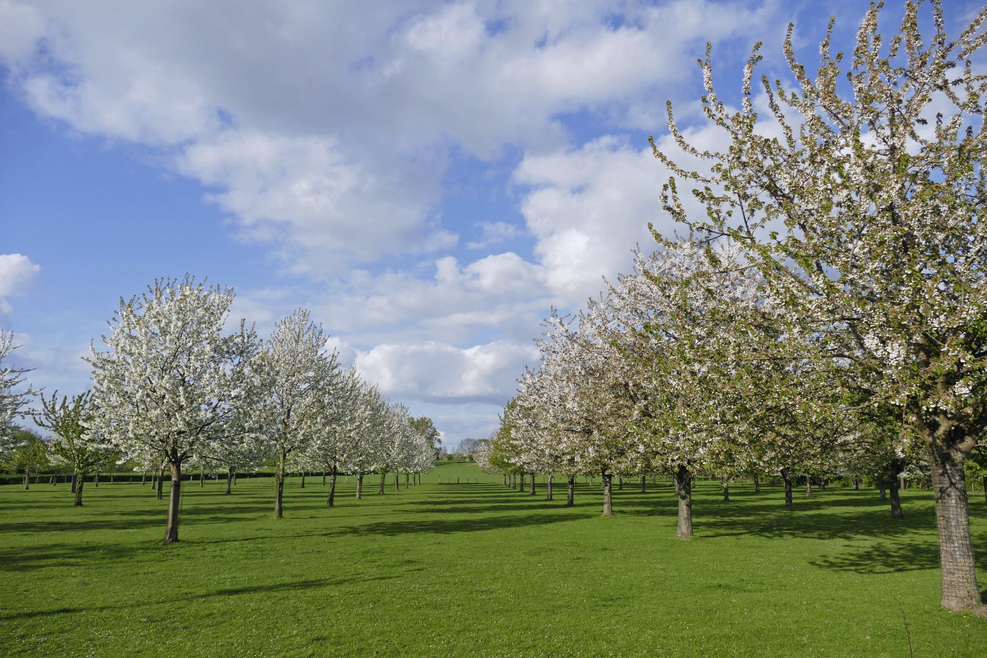 Naturhäuschen in Mesch-Eisden
