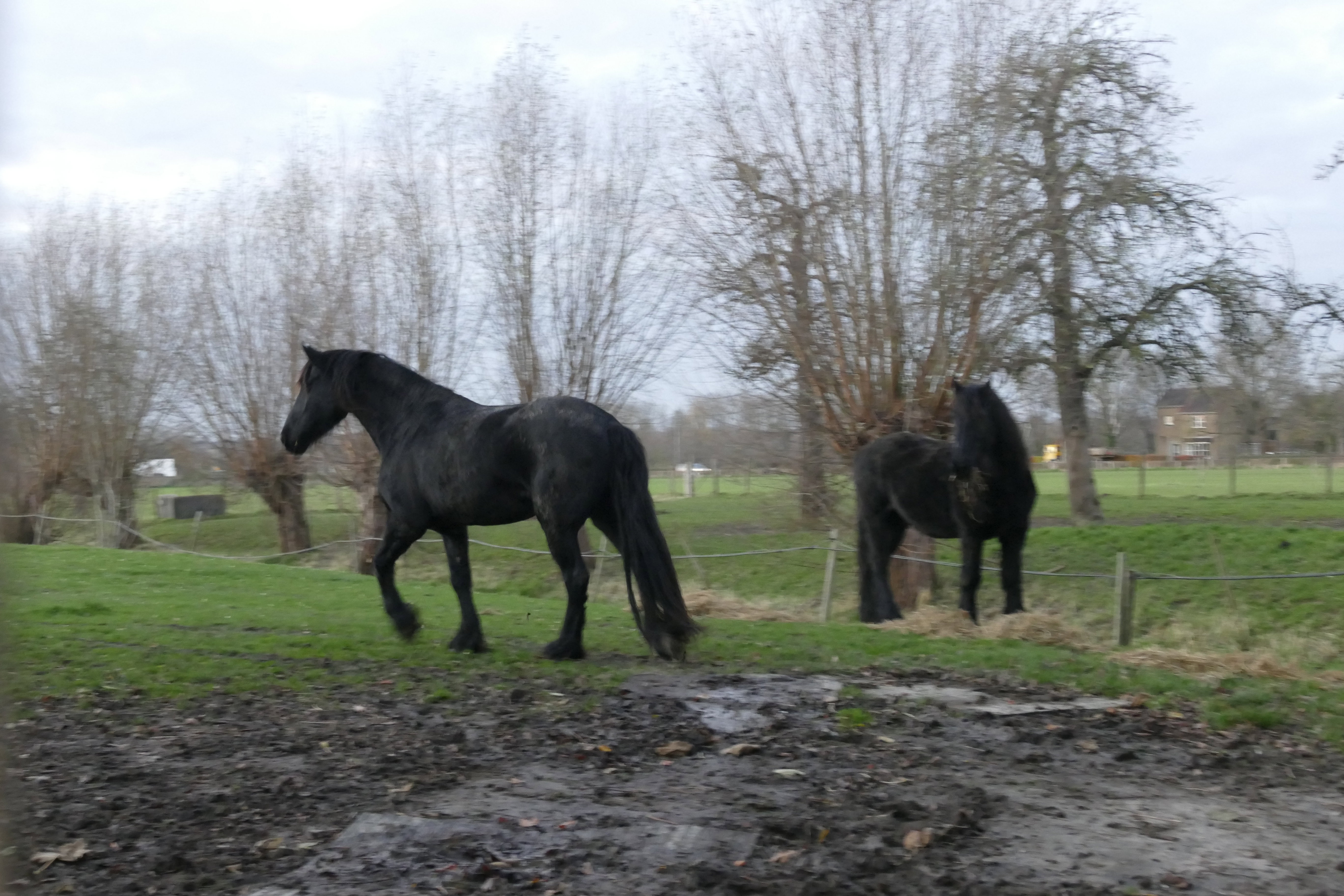 Naturhäuschen in Eijsden