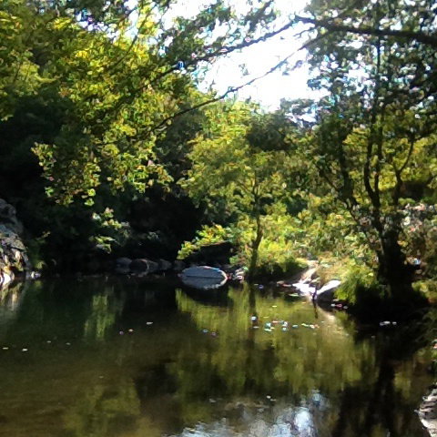 - image: 11