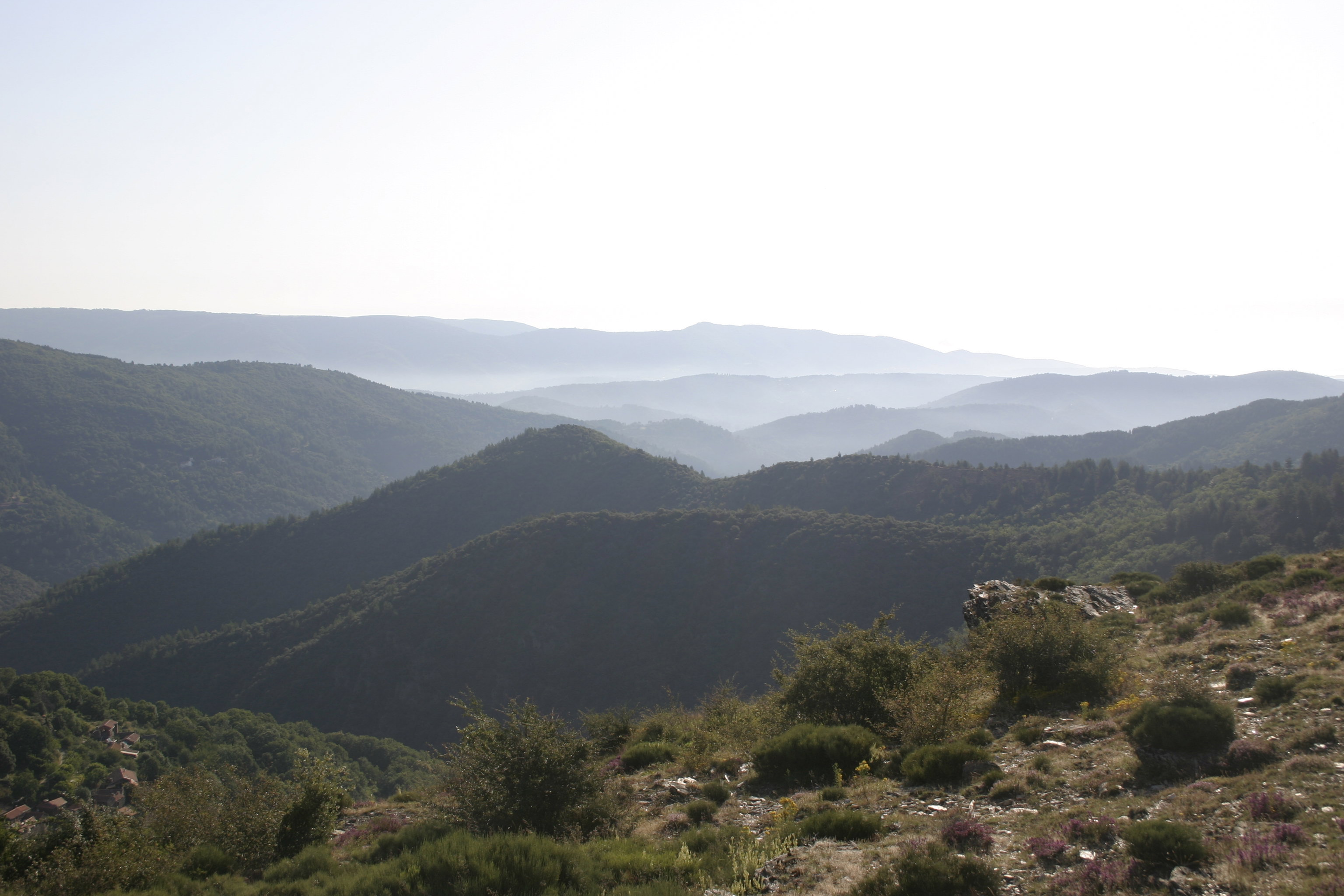- image: 11