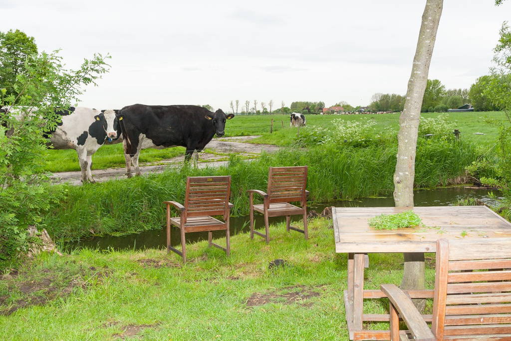 Maison nature à Leerdam