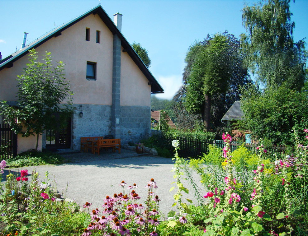 - image: 1