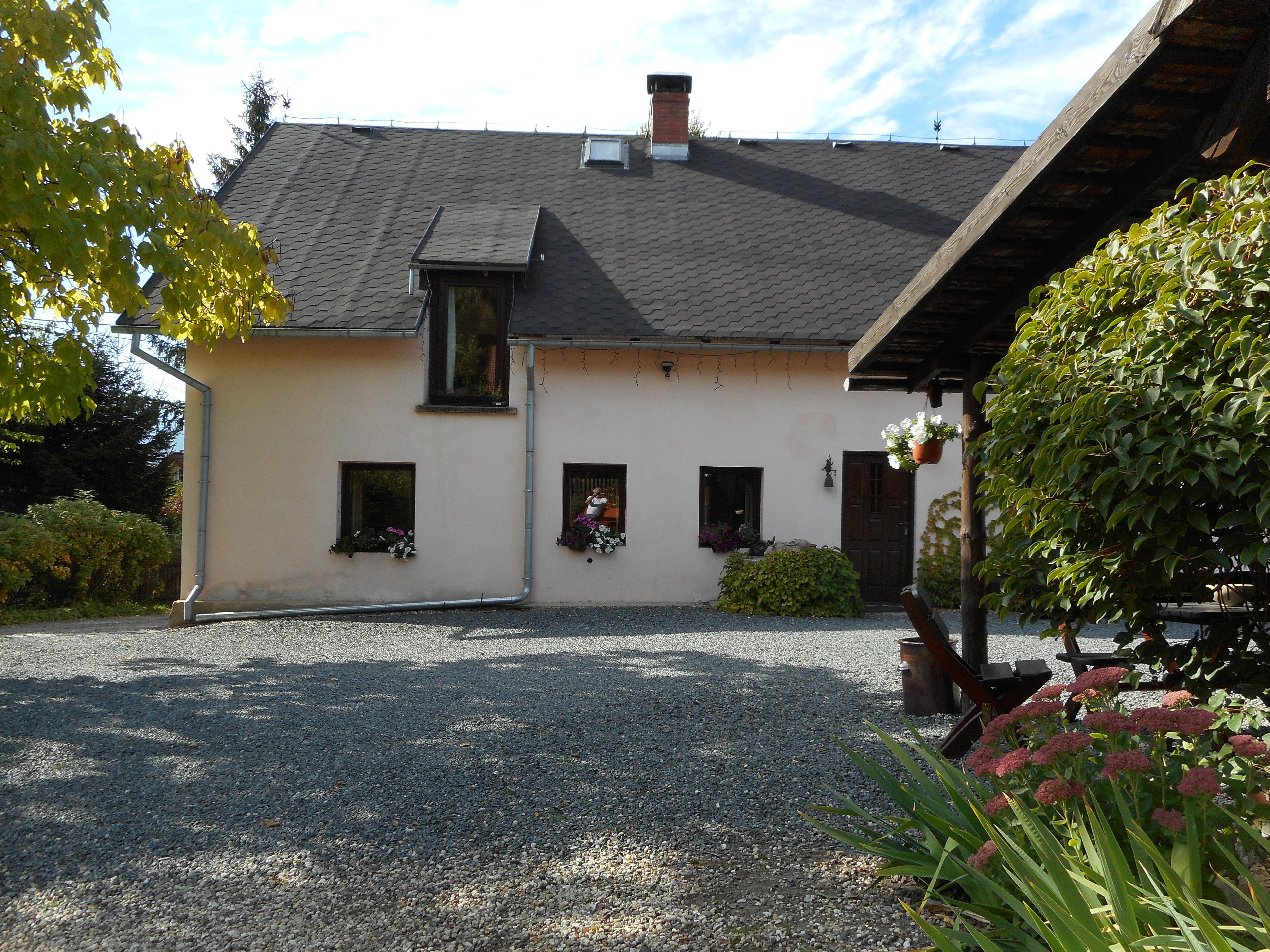 - image: 2