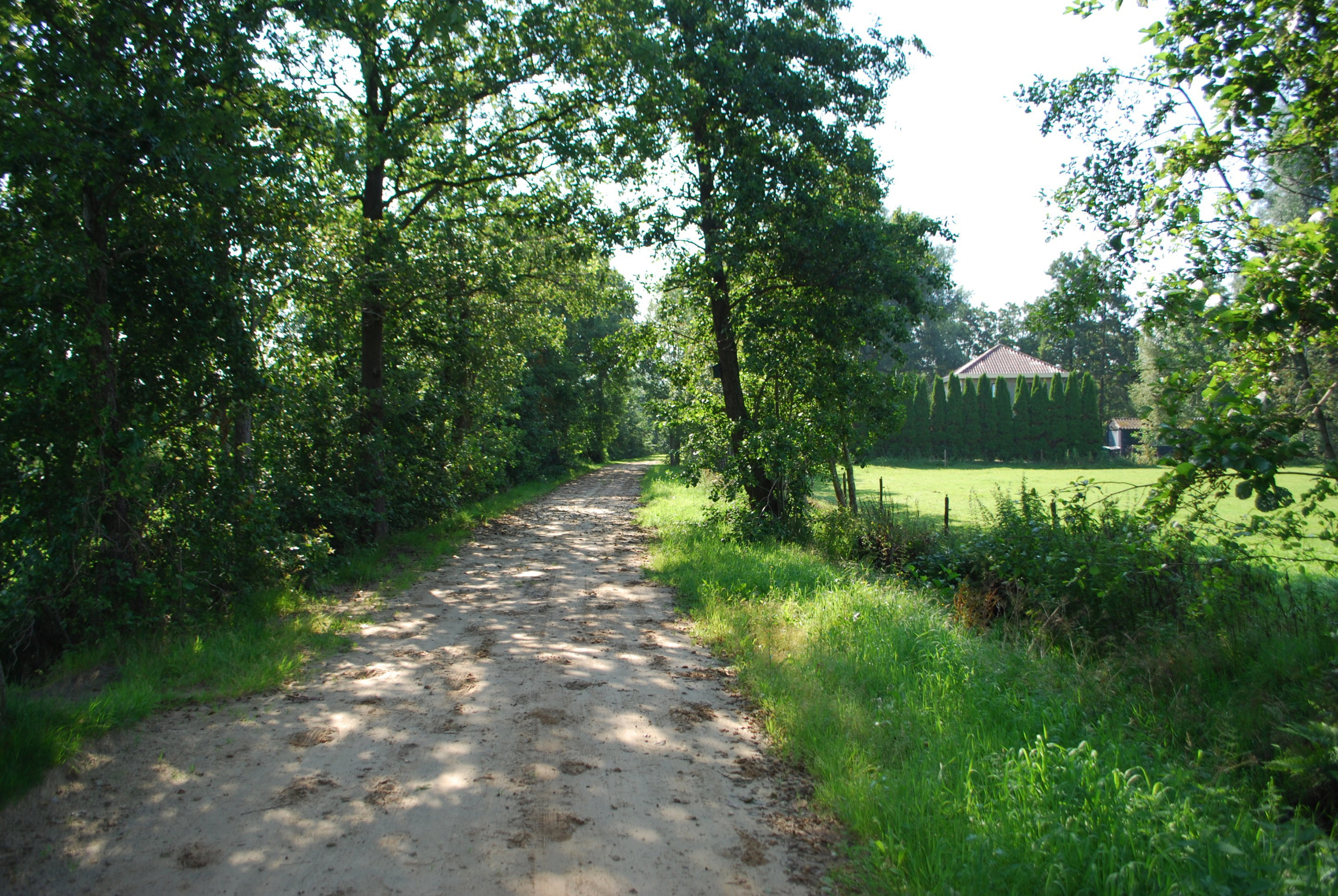 - image: 25