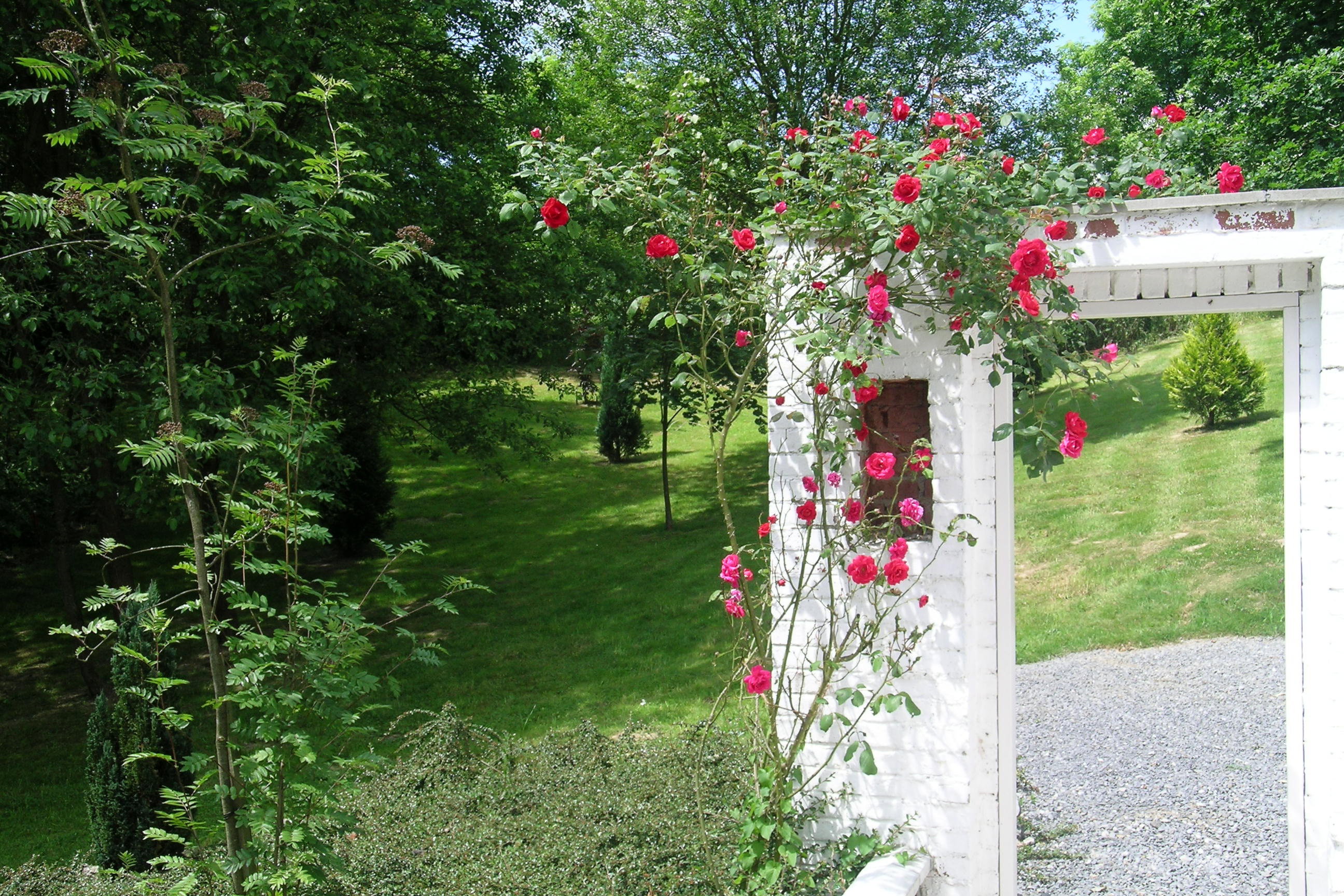 Nature house in Durbuy