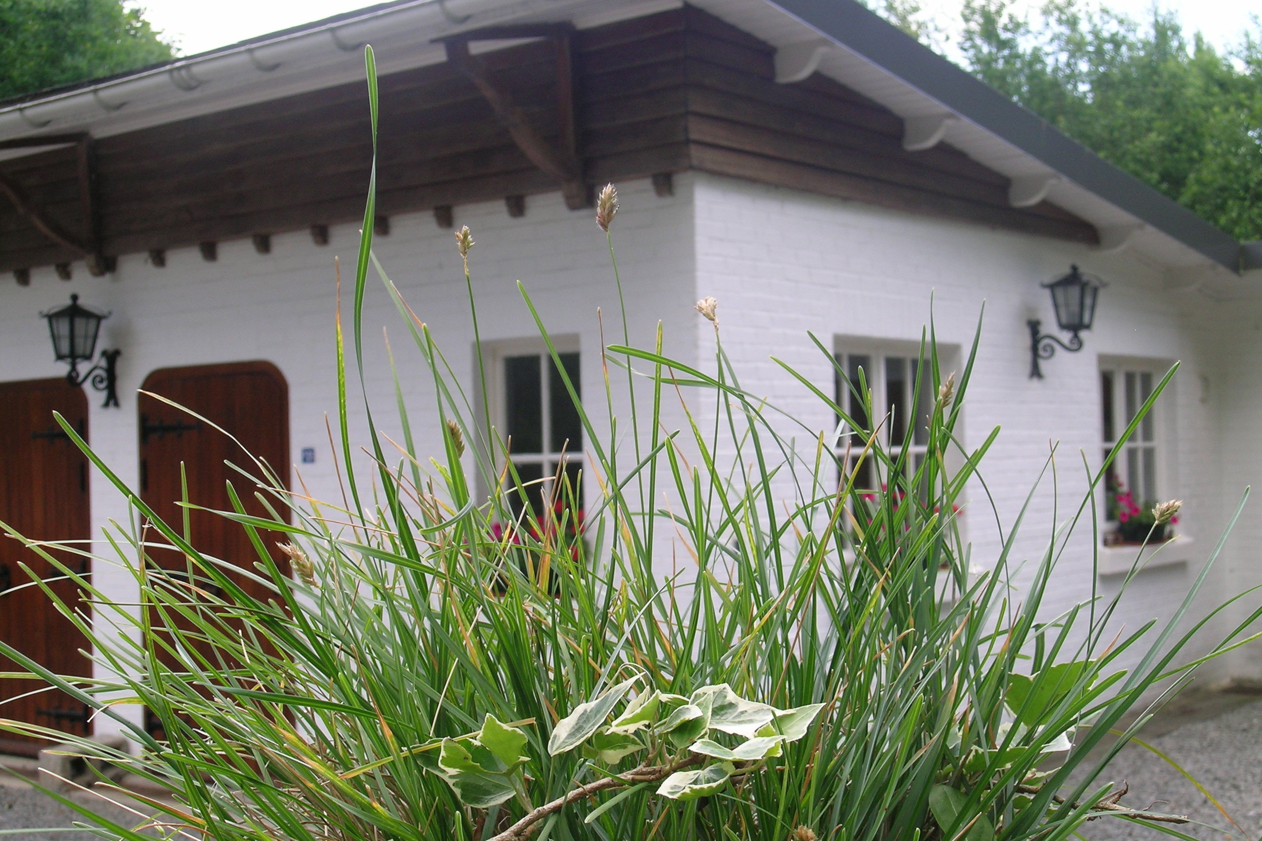 Nature house in Durbuy