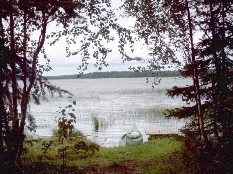 - image: 11