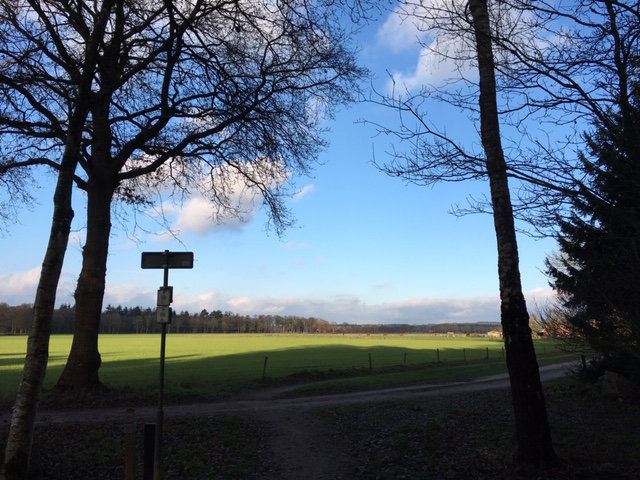 - image: 20