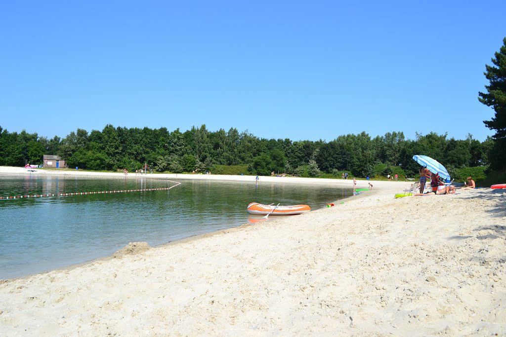 - image: 13