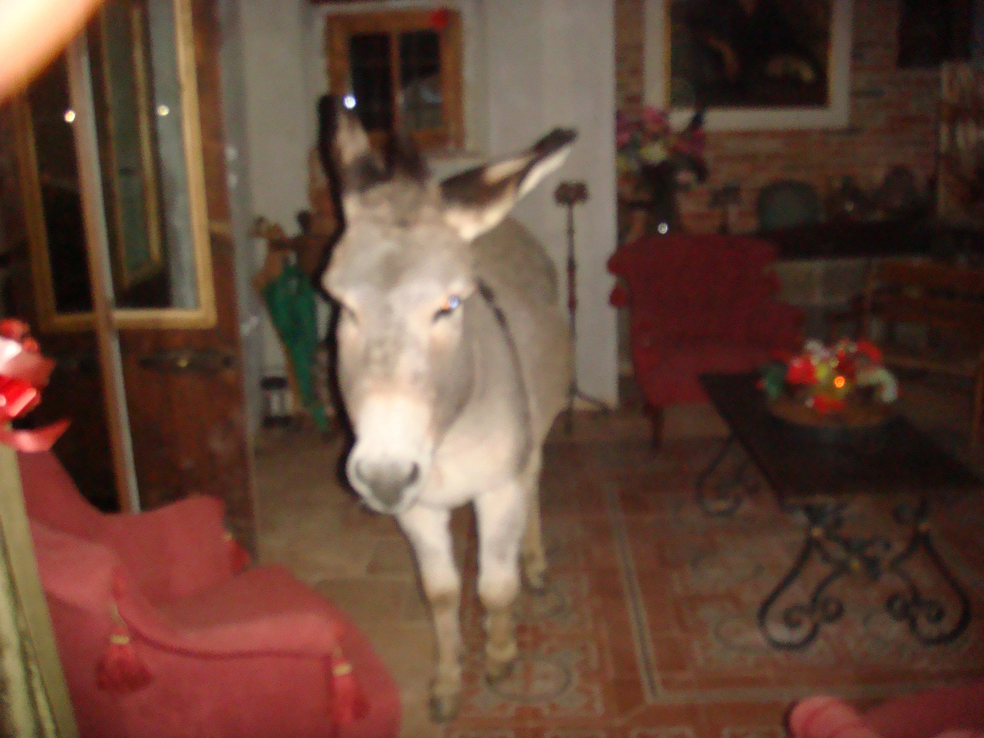 - image: 16