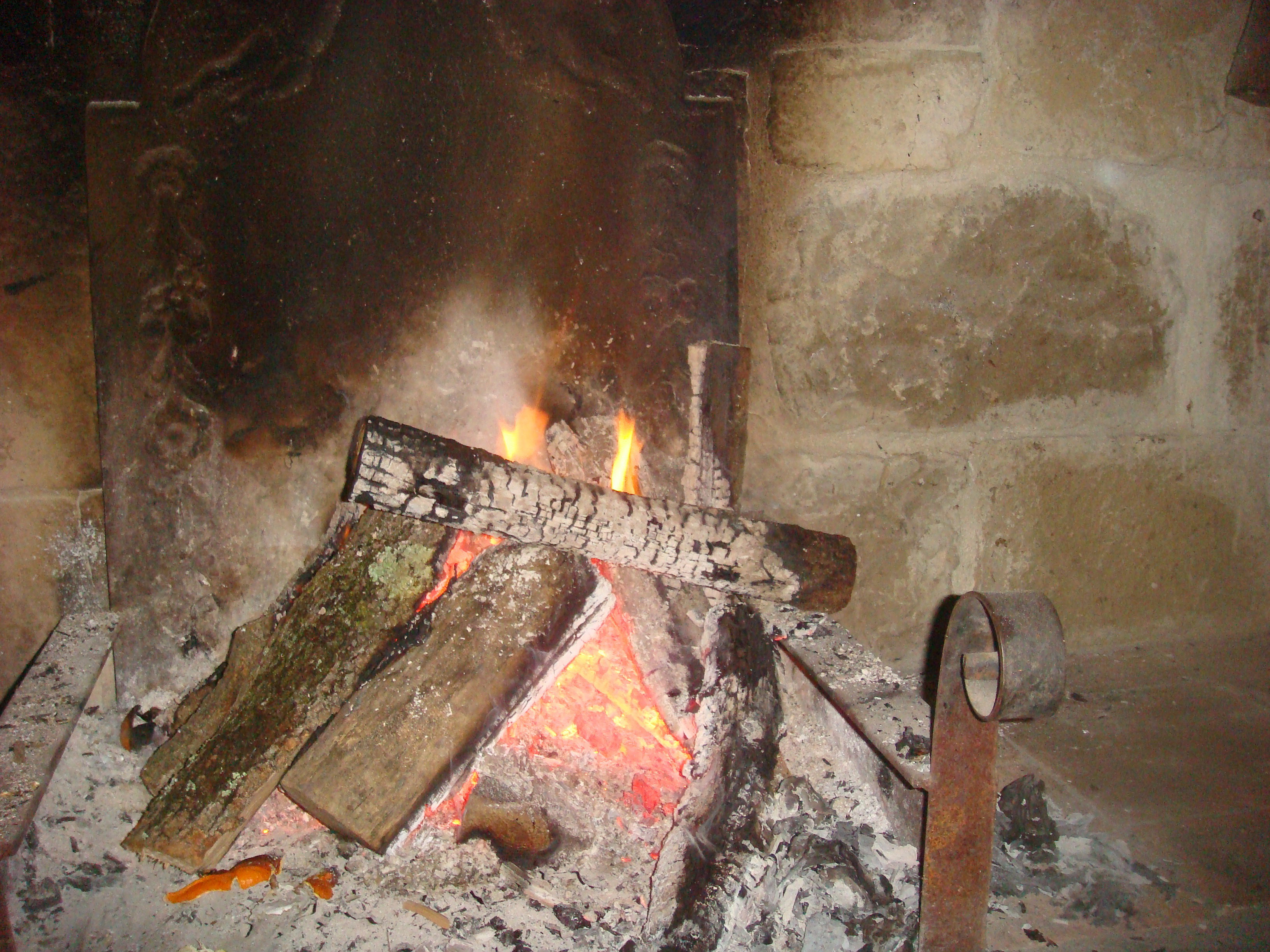 - image: 12