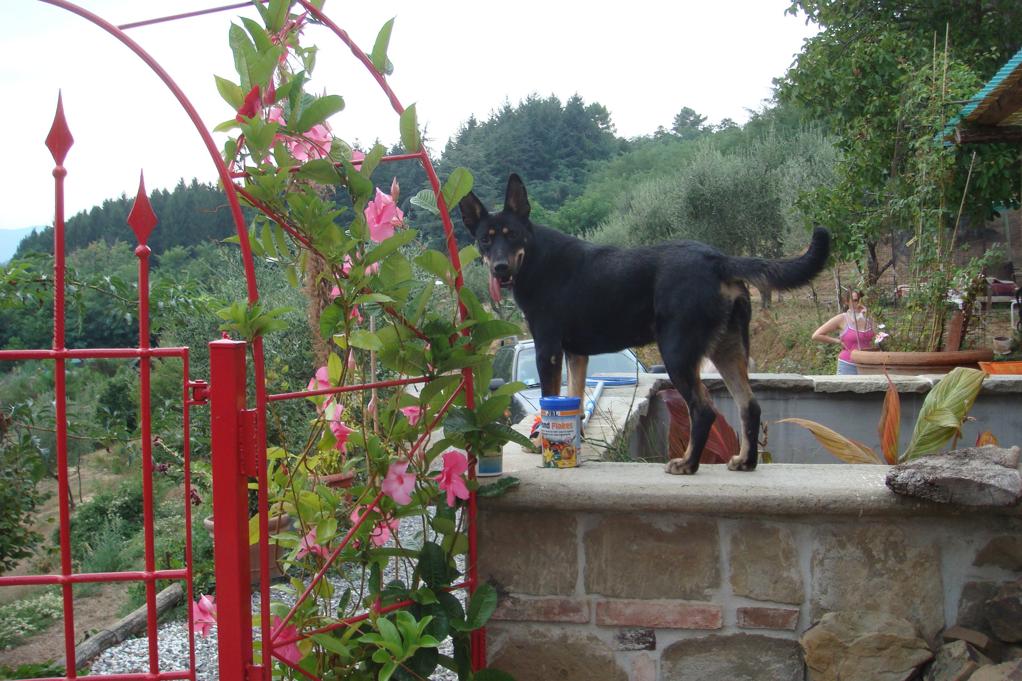 Maison nature à Uzzano