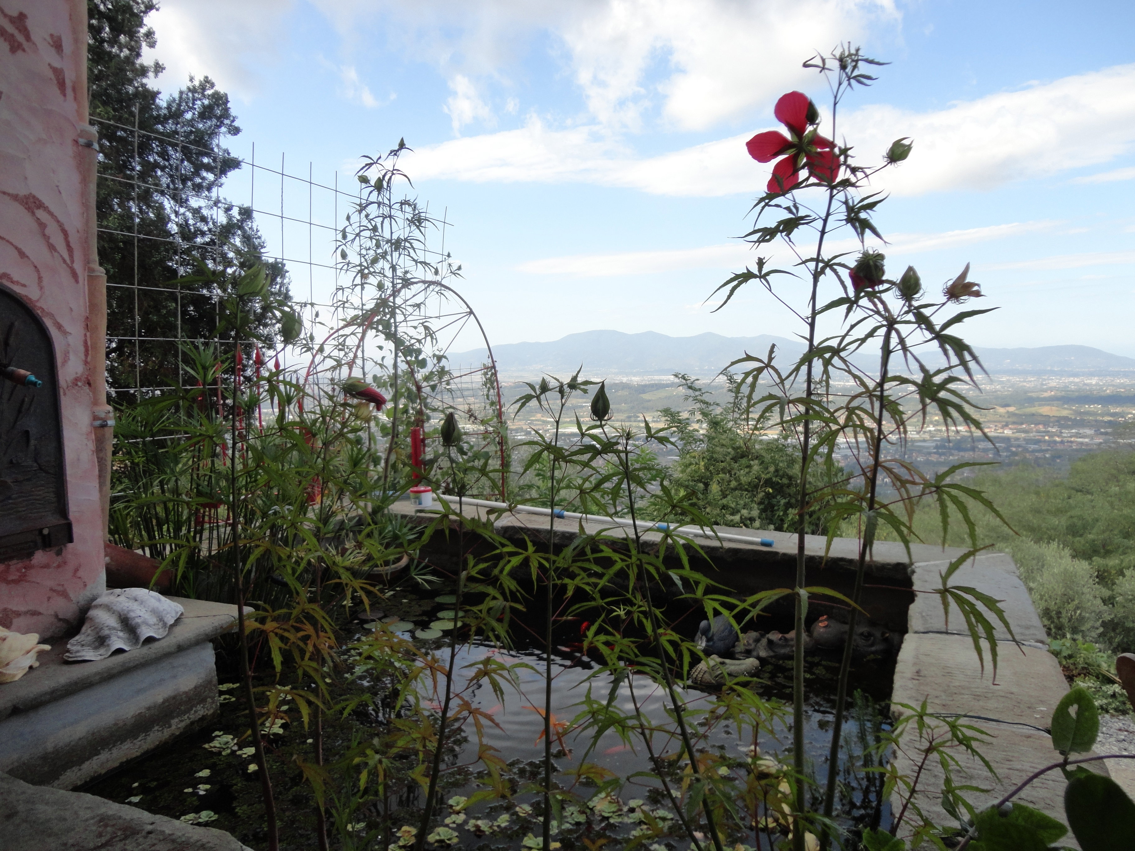 Maison nature à Uzzano