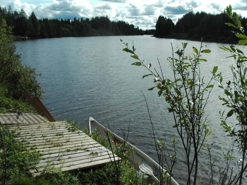 - image: 11