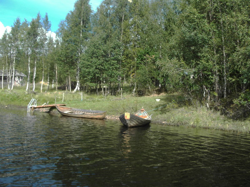 - image: 12