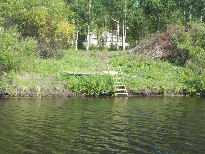 - image: 13