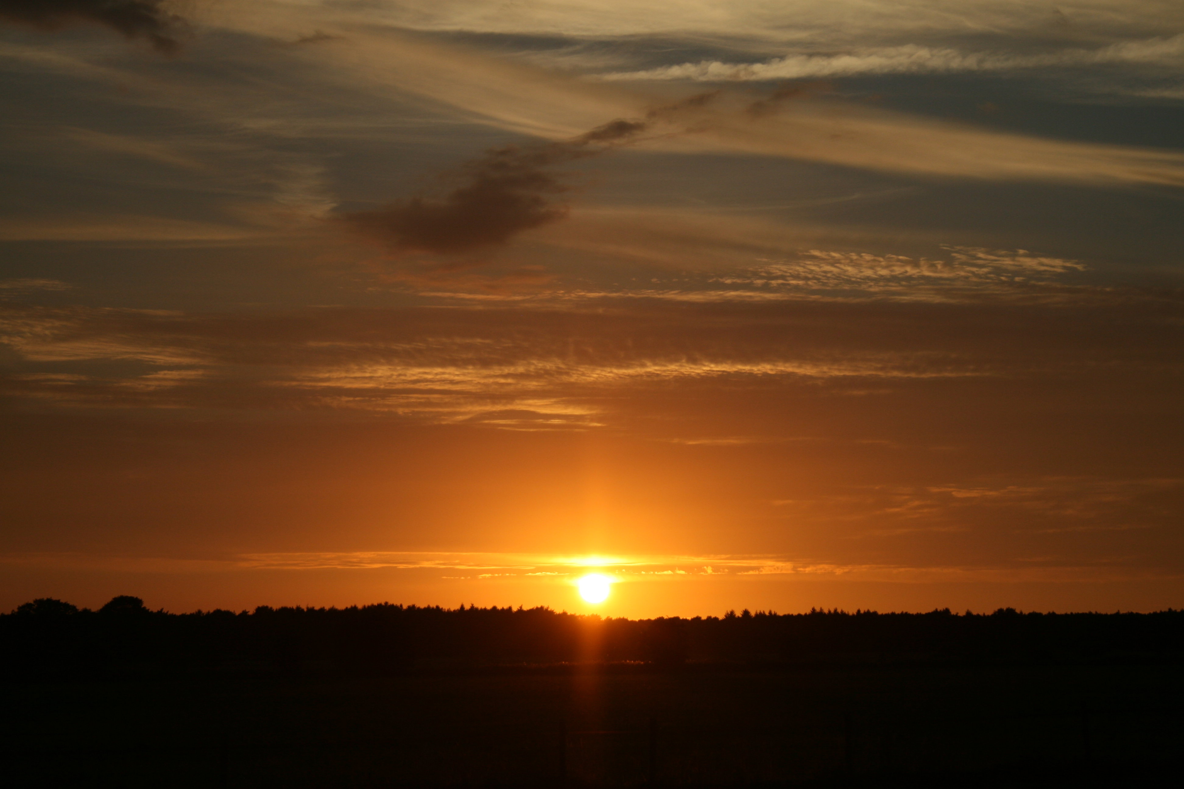 - image: 42