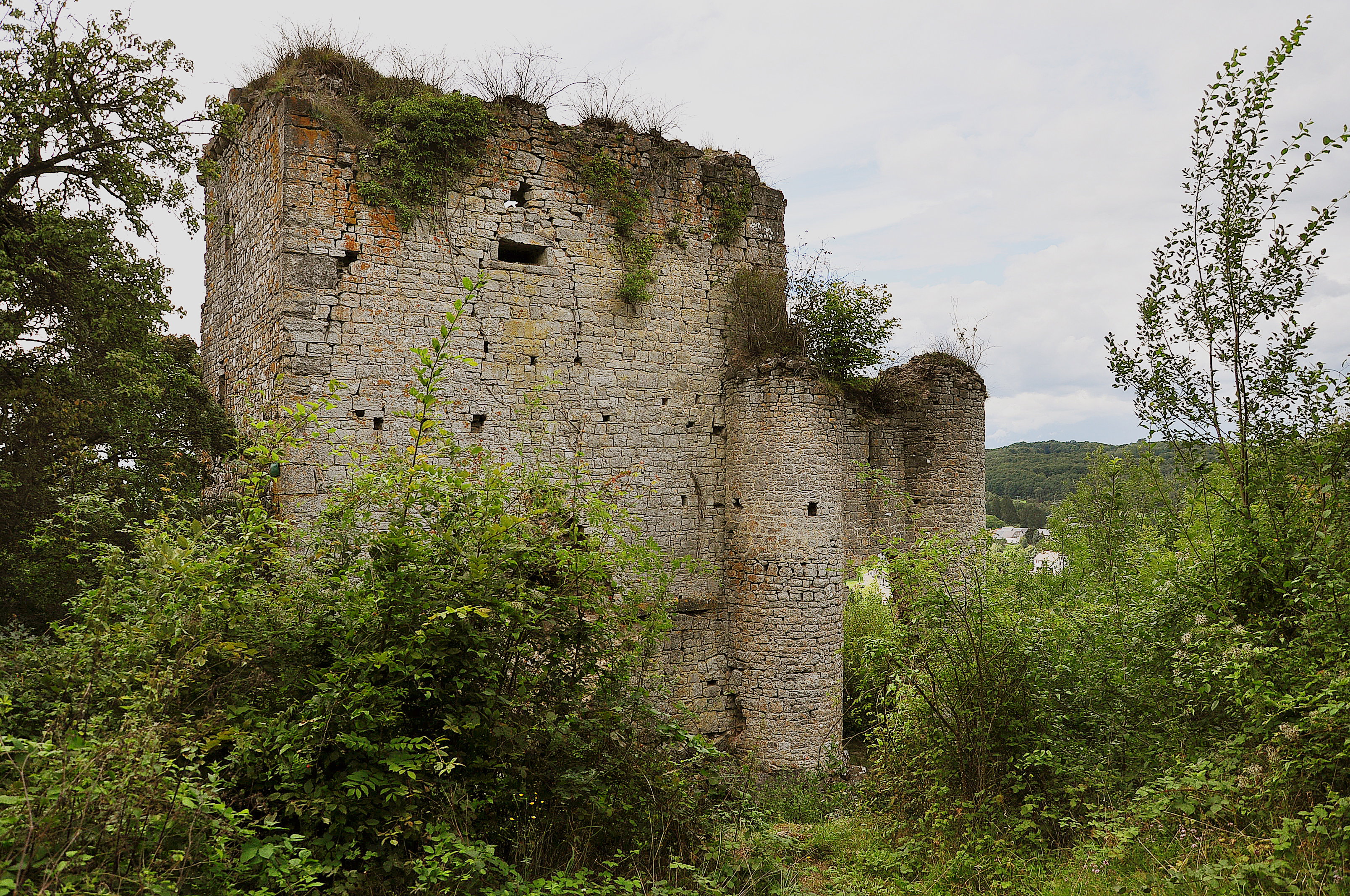 - image: 26