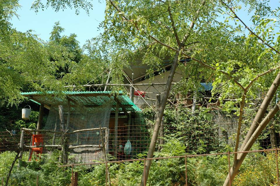 Nature house in Uzzano