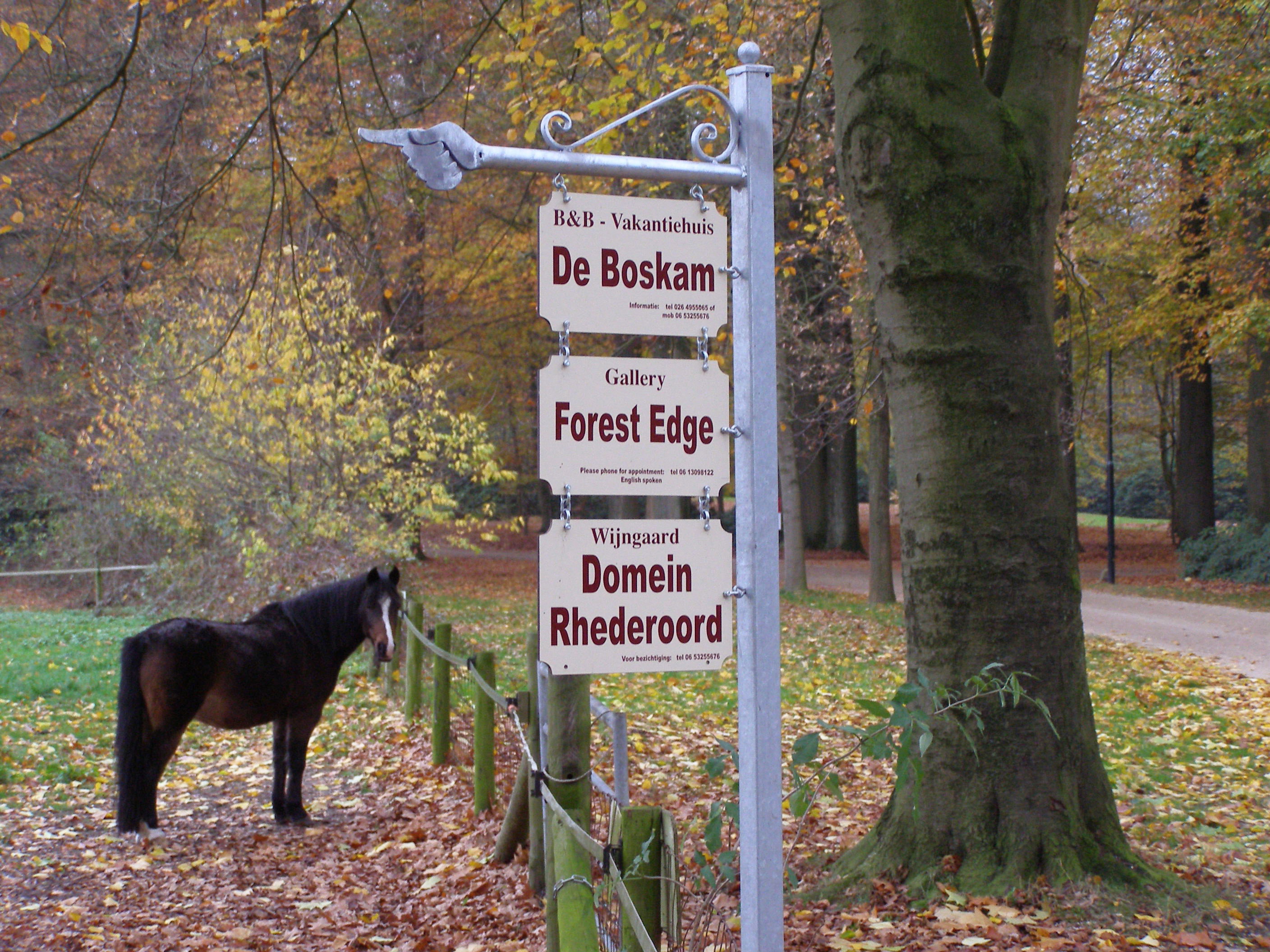 Naturhäuschen in De Steeg