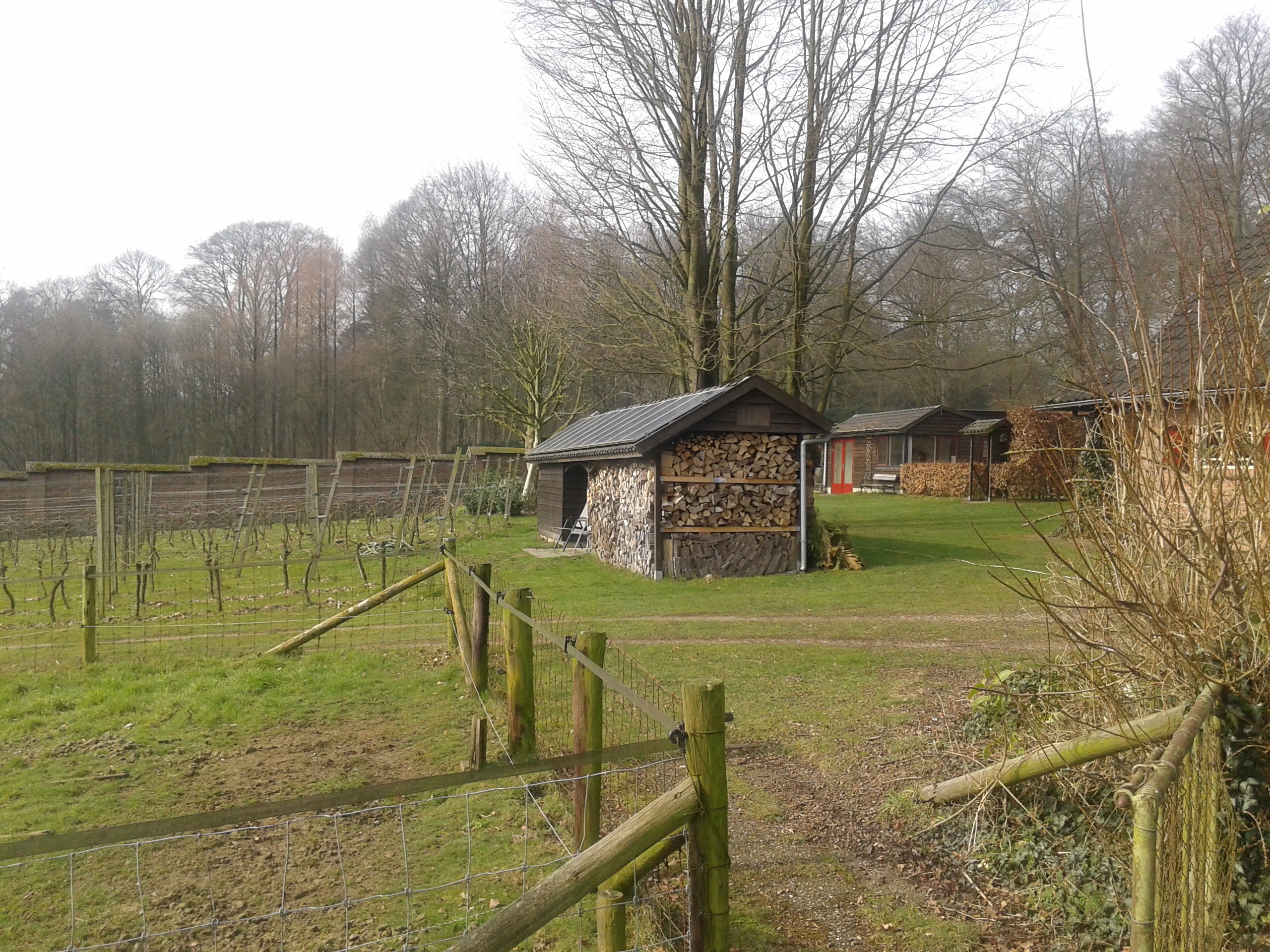 Naturhäuschen in De Steeg