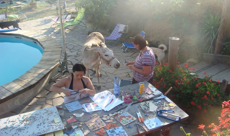 - image: 25