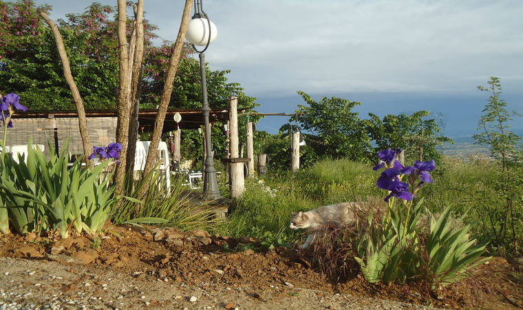 - image: 21