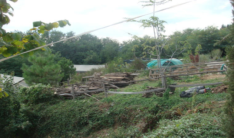 - image: 26