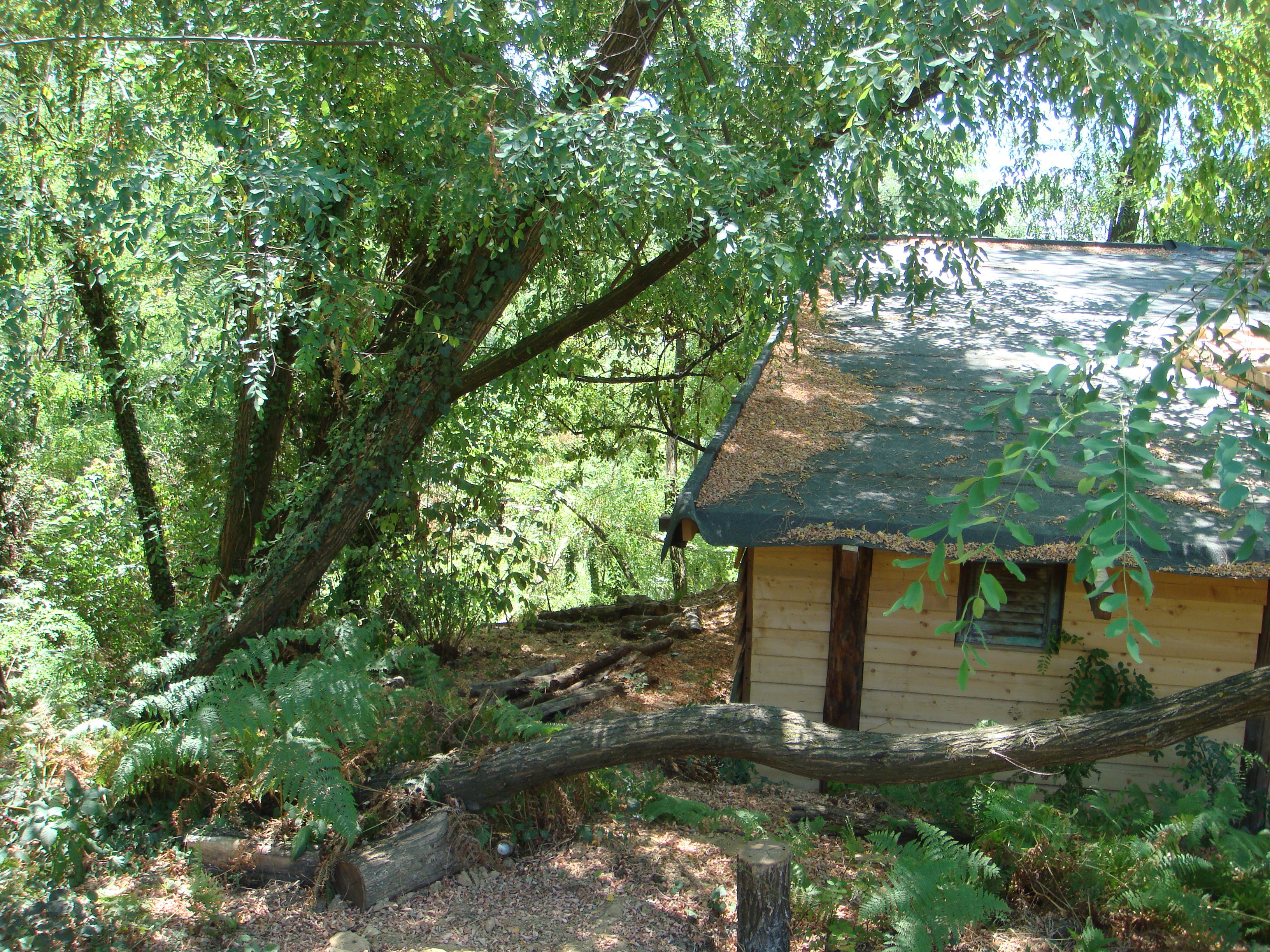 Natuurhuisje in Uzzano