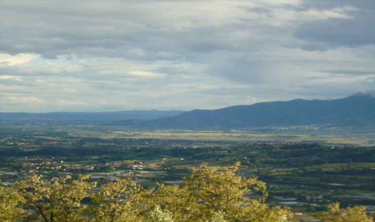 - image: 23