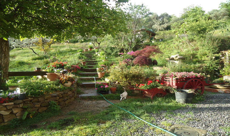 - image: 22