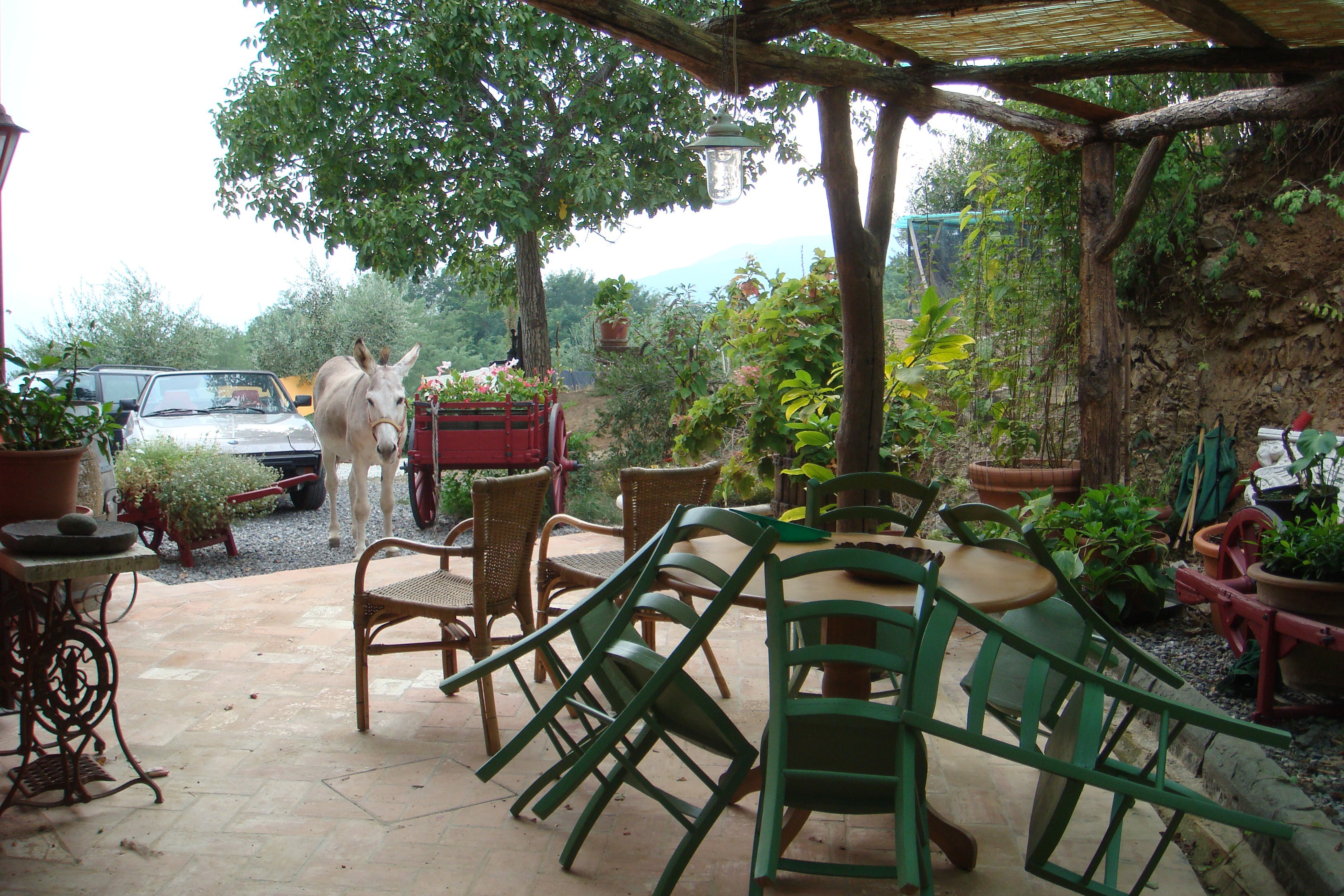 Natuurhuisje in Uzzano