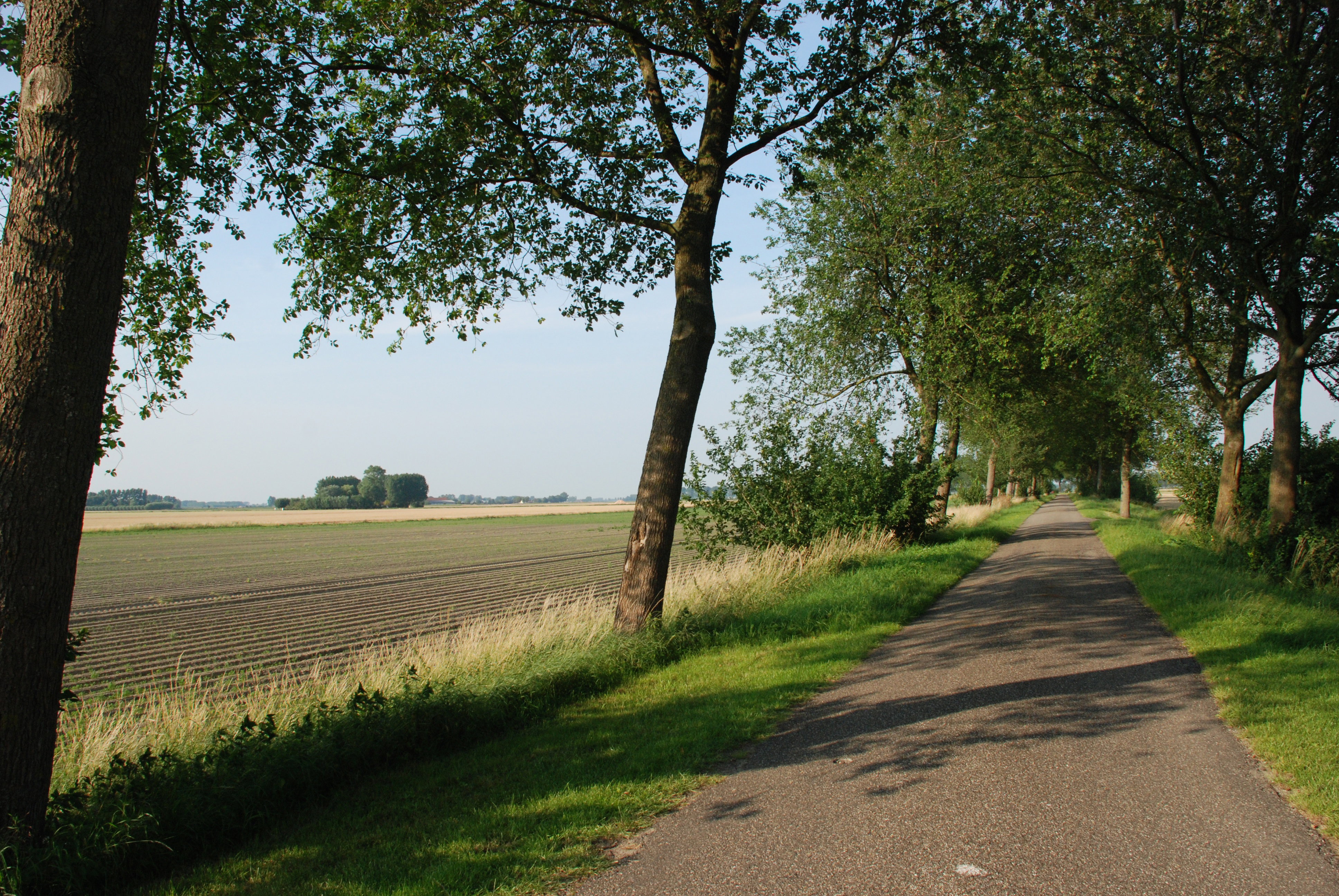 - image: 26