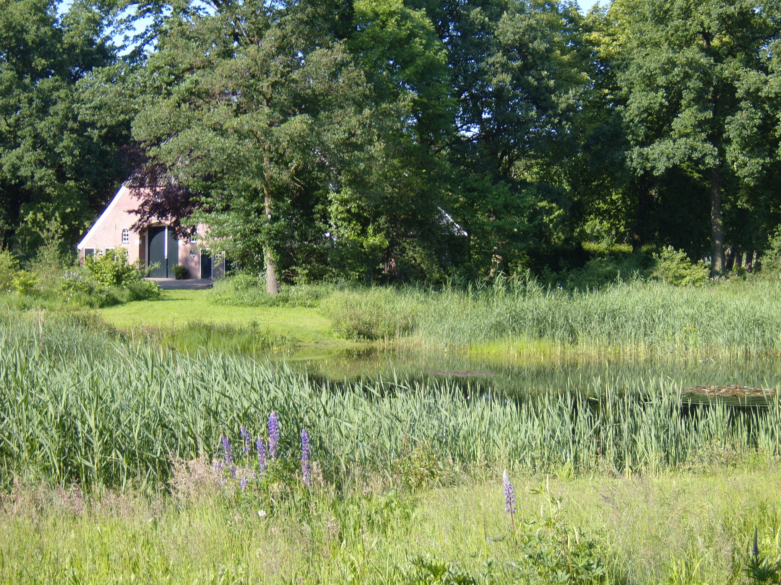 Naturhäuschen in Markelo