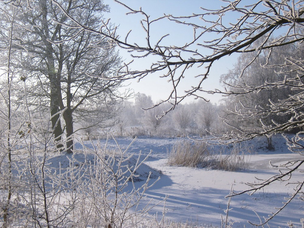 - image: 49
