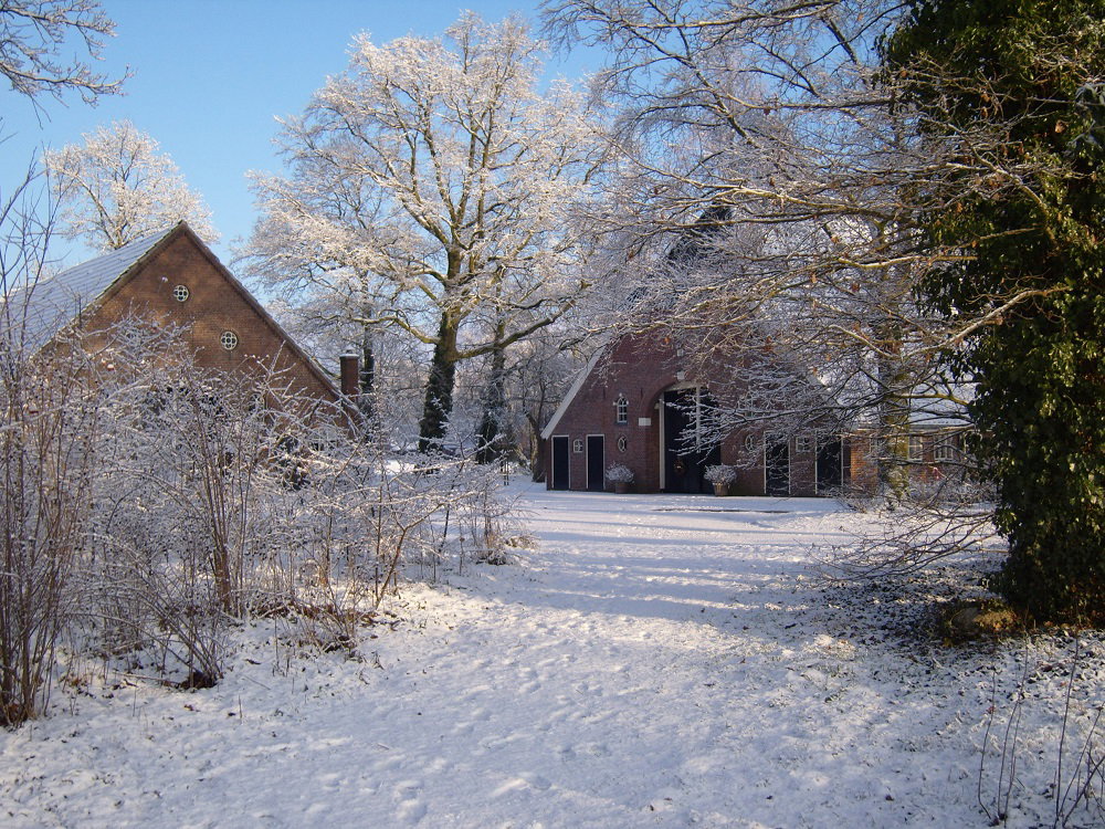 - image: 48