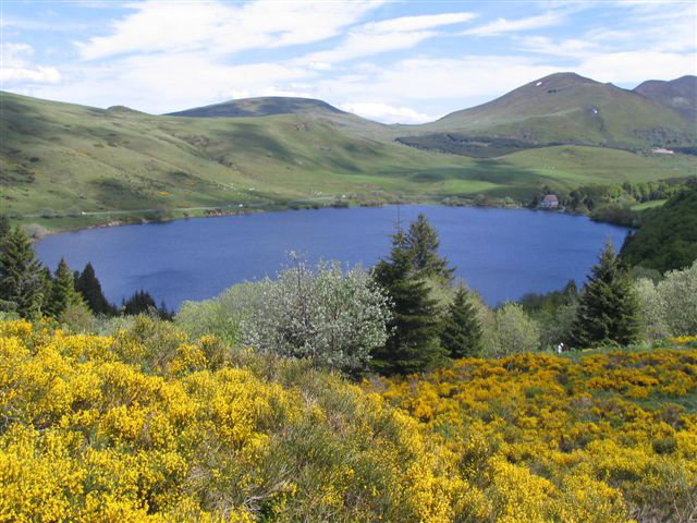 - image: 24