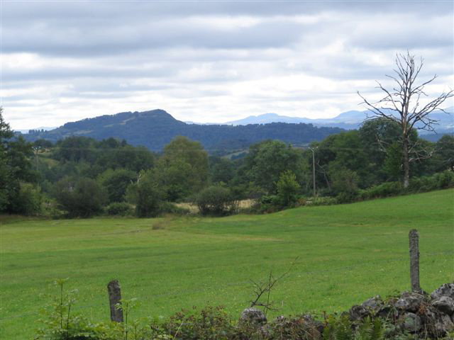 - image: 20