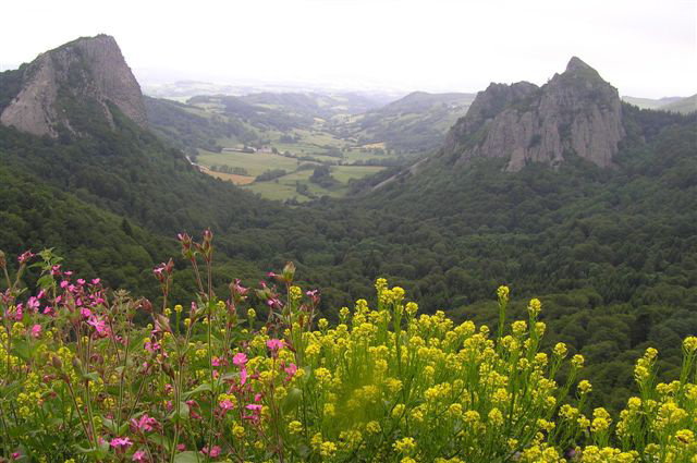 - image: 23