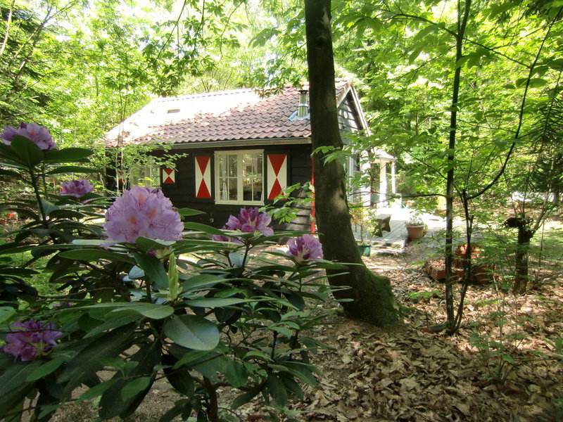 Natuurhuisje in Emst